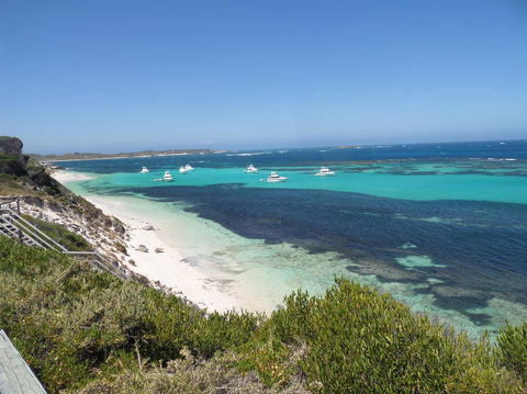 Rottnest Island Tour From Perth Or Fremantle Including Adventure Speed Boat Ride - Accommodation in Bendigo 2