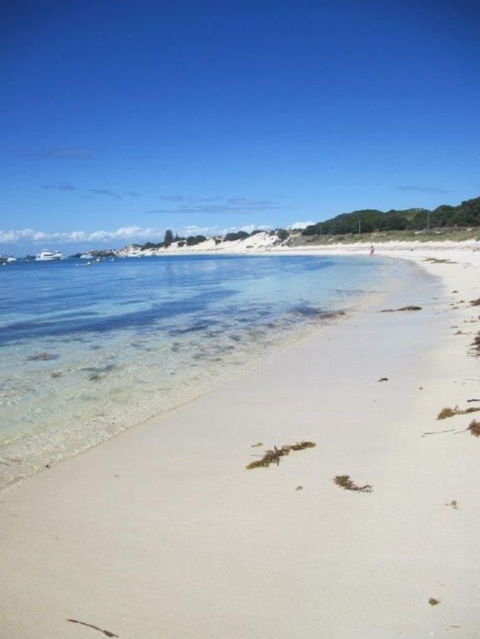 Rottnest Island Tour From Perth Or Fremantle Including Adventure Speed Boat Ride - Accommodation in Bendigo 4