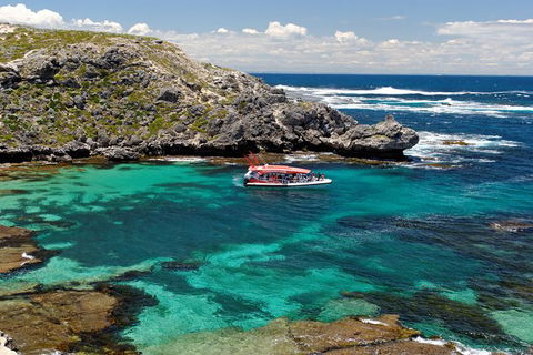 Rottnest Island Tour From Perth Or Fremantle Including Adventure Speed Boat Ride - Accommodation in Bendigo 10