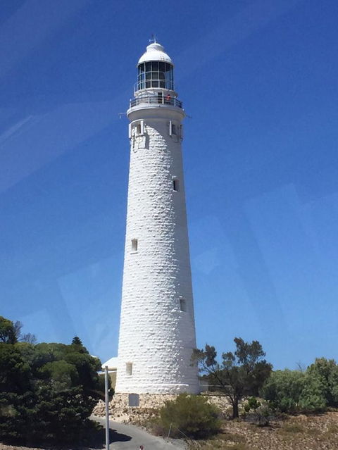 Rottnest Island Tour From Perth Or Fremantle Including Bus Tour - Accommodation in Bendigo 2