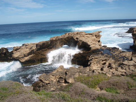 Rottnest Island Tour From Perth Or Fremantle Including Bus Tour - Accommodation in Bendigo 5