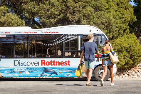 Rottnest Island Tour From Perth Or Fremantle Including Bus Tour - Accommodation in Bendigo 9