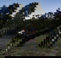 Stargazing Busselton with Mobile Observatory - Accommodation in Bendigo