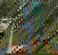 Busselton High Ropes and Zipline Adventure - Accommodation in Bendigo