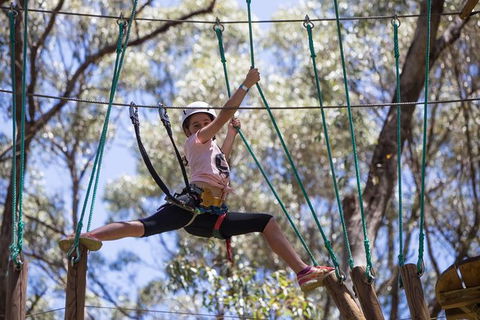 Busselton High Ropes And Zipline Adventure - Accommodation in Bendigo 1