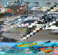 6-Metre Boat Renat Explore Exmouth's Ningaloo Reef - Accommodation in Bendigo