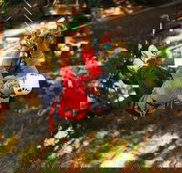 Trees Adventure Lane Poole Park - Treetop  Zipline Experience - Accommodation in Bendigo