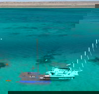 Whale Shark Swim by Catamaran in Shoulder Season - Accommodation in Bendigo