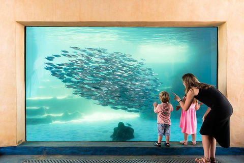 AQWA The Aquarium Of Western Australia: General Admission - Accommodation in Bendigo 0