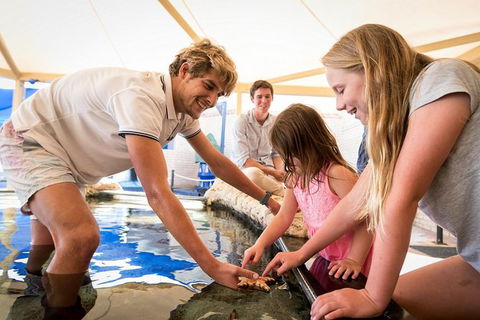AQWA The Aquarium Of Western Australia: General Admission - Accommodation in Bendigo 5
