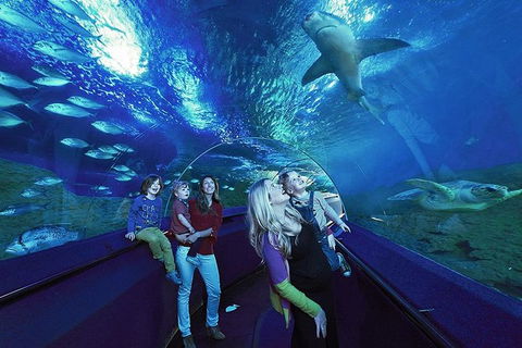 AQWA The Aquarium Of Western Australia: General Admission - Accommodation in Bendigo 14