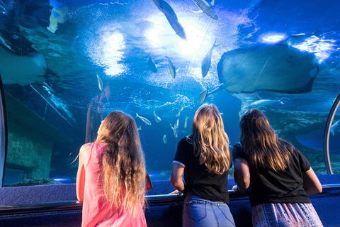 AQWA The Aquarium Of Western Australia: General Admission - Accommodation in Bendigo 7