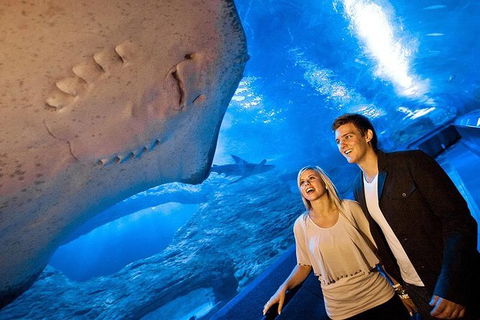 AQWA The Aquarium Of Western Australia: General Admission - Accommodation in Bendigo 6