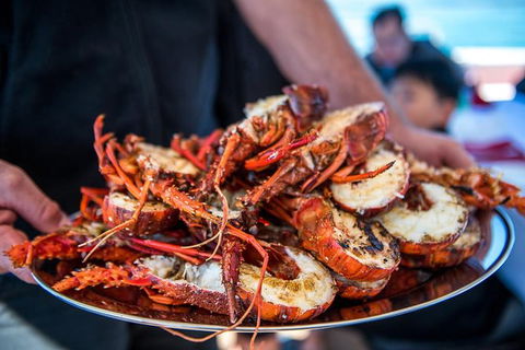 Mandurah Wild Seafood Adventure Cruise - Accommodation in Bendigo 1
