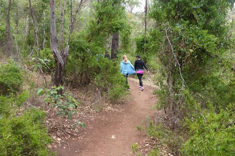 Granite Skywalk Porongurups - Accommodation in Bendigo 1