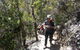 Granite Skywalk Porongurups - thumb 6