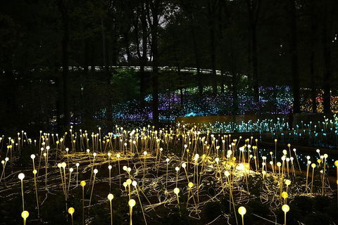 National Anzac Centre Field Of Light Panorama Pass - Accommodation in Bendigo 0
