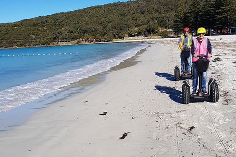 Albany Summit To Sea Adventure - Guided Segway Tour - Accommodation in Bendigo 1