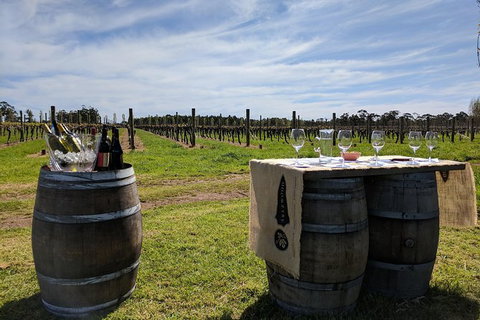 Margaret River Small-Group Full-Day Wine & Food Tour - Accommodation in Bendigo 4