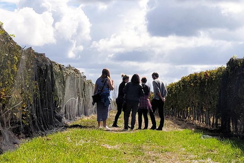 Margaret River Small-Group Full-Day Wine & Food Tour - Accommodation in Bendigo 5
