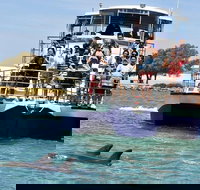 Mandurah Dolphin and Scenic Marine Cruise - Accommodation in Bendigo