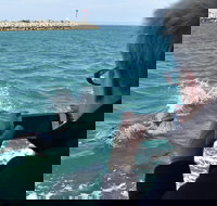 Mandurah Dolphin Island Adventure - Accommodation in Bendigo