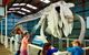 Albany\'s Historic Whaling Station Admission Ticket - thumb 1