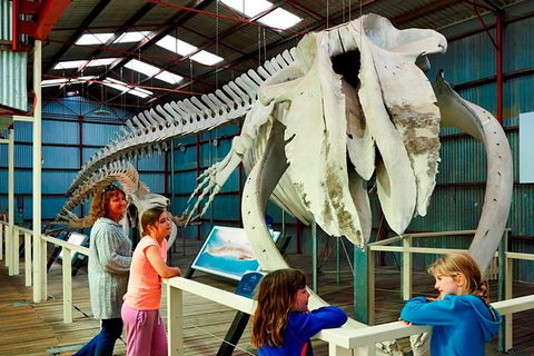 Albany\'s Historic Whaling Station Admission Ticket - Accommodation in Bendigo 1
