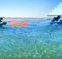 Turtle Tour - Ningaloo Reef Half Day Sea Kayak and Snorkel Tour - Accommodation in Bendigo