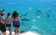 Ningaloo Reef Whale Shark Snorkeling Adventure Apr-July - thumb 4