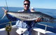 Montebello Island Fishing Charters - thumb 4
