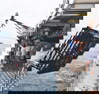 Rottnest Island Wild Seafood Package from Perth with Transfer - Accommodation in Bendigo