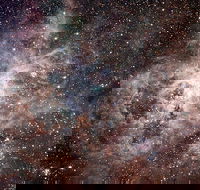 Overnight Astronomy Experience Ningaloo - Yardie Homestead - Accommodation in Bendigo