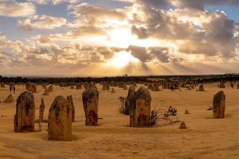Half Day Pinnacles Sunset Tour - Accommodation in Bendigo 1