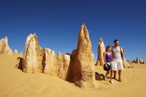Half Day Pinnacles Sunset Tour - Accommodation in Bendigo 7