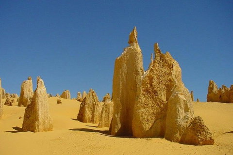 Half Day Pinnacles Sunset Tour - Accommodation in Bendigo 5