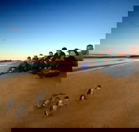 Phillip Island Ultimate Penguin Eco Tour or Skybox Experience - Accommodation in Bendigo