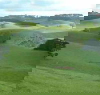 Day Tour of Phillip Island  Surrounding Region - Accommodation in Bendigo