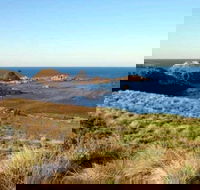 Phillip Island Walking  Bird Watching Tour - Accommodation in Bendigo