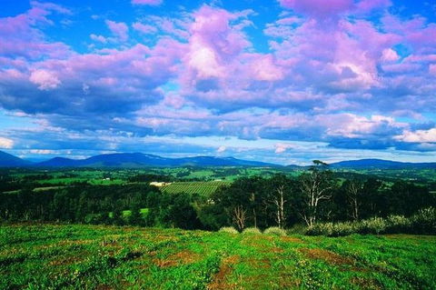 CHEVY CONVERTIBLE Package For 2 People- Wine Lunch Cheese & Chocolate From Melb. - Accommodation in Bendigo 7