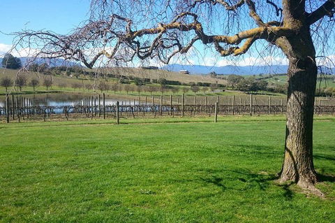 CHEVY CONVERTIBLE Package For 2 People- Wine Lunch Cheese & Chocolate From Melb. - Accommodation in Bendigo 4