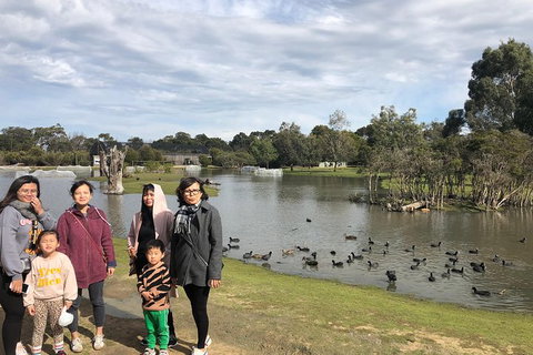 Phillip Island Penguins Private Tour - Accommodation in Bendigo 11