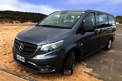 Phillip Island Penguins Private Tour - Accommodation in Bendigo 10