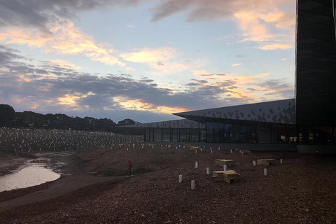 Phillip Island Penguins Private Tour - Accommodation in Bendigo 12