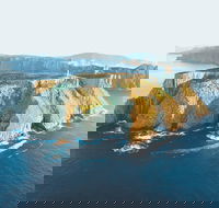 3-Hour Tasman Peninsula Wilderness Cruise from Port Arthur - Accommodation in Bendigo