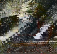 West Coast Wilderness Railway River and Rainforest from Strahan - Accommodation in Bendigo