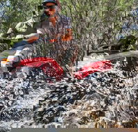 Quad Bike 2-Hour Adventure Freycinet National Park - Accommodation in Bendigo