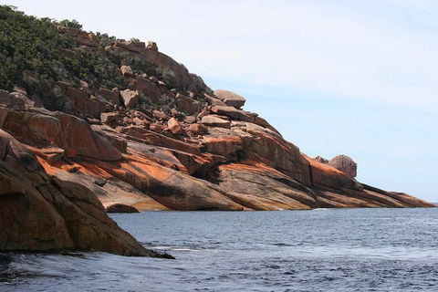 Wineglass Bay Cruise From Coles Bay - Accommodation in Bendigo 7