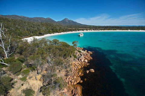 Wineglass Bay Cruise From Coles Bay - Accommodation in Bendigo 5