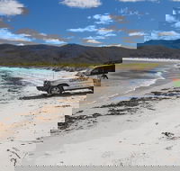 4X4 and Lunch Half Day Bicheno Coastal Mountain - Accommodation in Bendigo